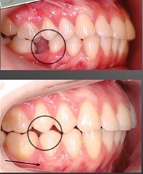 ортодвижение 2.jpg